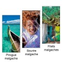 Marque-Page Magnétique Thème Madagascar
