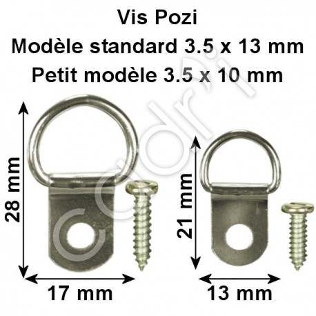 Attaches D-Rings Nickelées - Modèle Standard et Petit Modèle